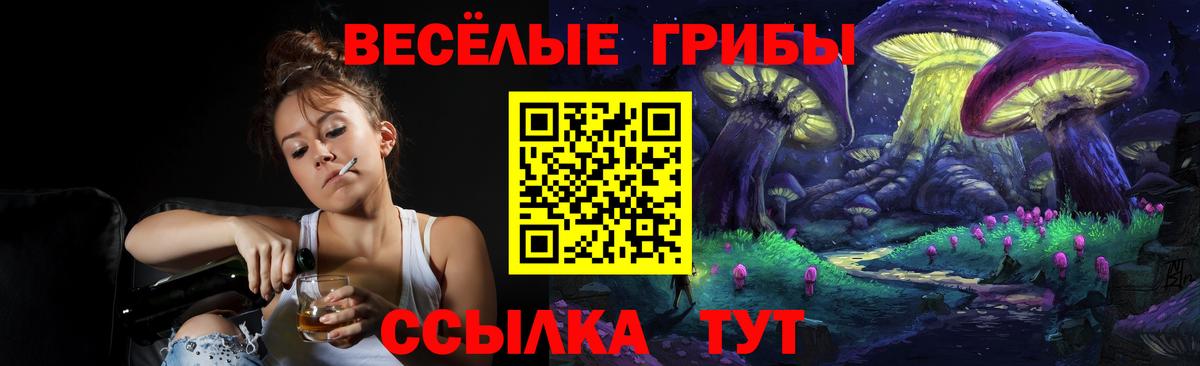 Гай  закладка  Вход с VPN  Псилоцибиновые грибы Cubensis  Галлюциногенные грибы Cubensis 
