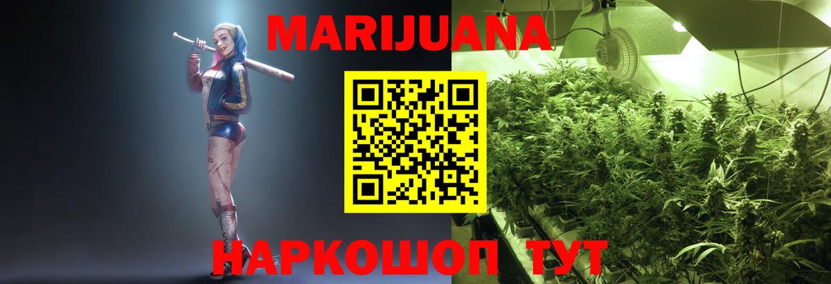 Гай  Канабис сатива  Вход с VPN  Конопля конопля  Каннабис гибрид 